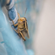 Illustration for article titled 18 Creepy, Crawly Photos Of Insects